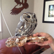 Illustration for article titled This Blind Screech Owl Has Eyes That Are Impossible To Believe